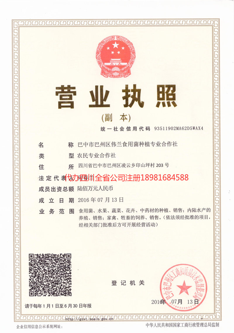 南溪南溪伟兰食用菌种植专业合作社